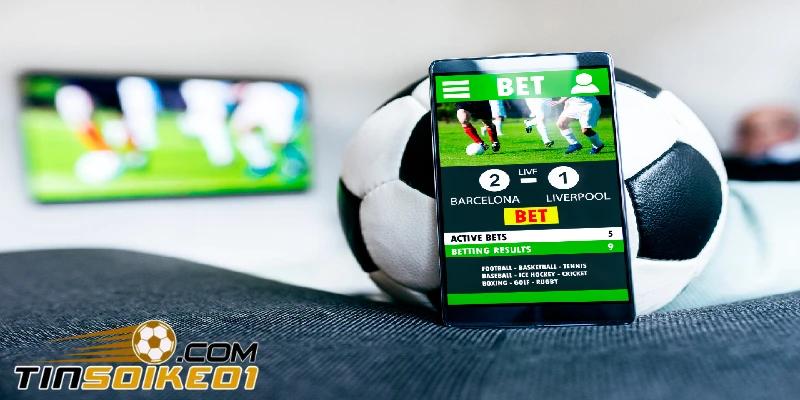 thầu bóng đá là gì