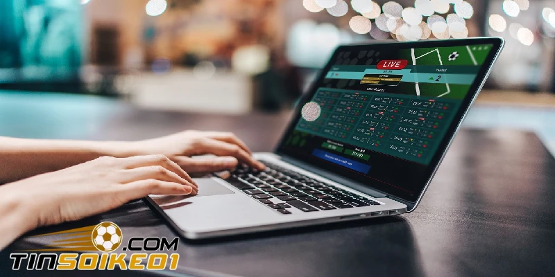 Thầu Bóng Đá Là Gì? 3 Loại Thầu Bóng Đá Phổ Biến Hiện Nay 3 Thầu bóng đá thông qua trang web