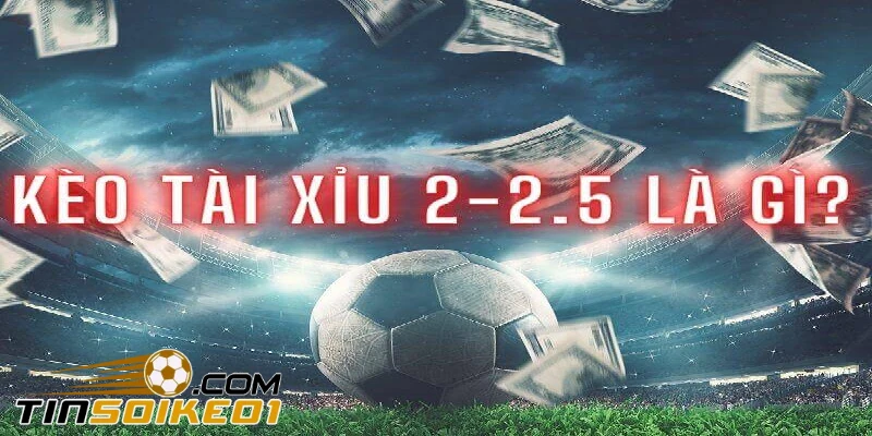 Kèo Tài Xỉu 2-2.5 Là Gì? Cách Đọc Và Tính Tiền Kèo 2-2.5 1 kèo tài xỉu 2-2.5 là gì